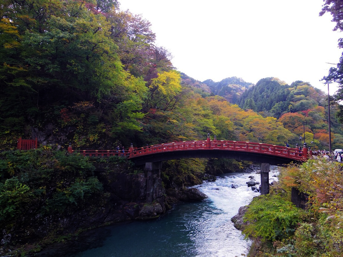 紅葉