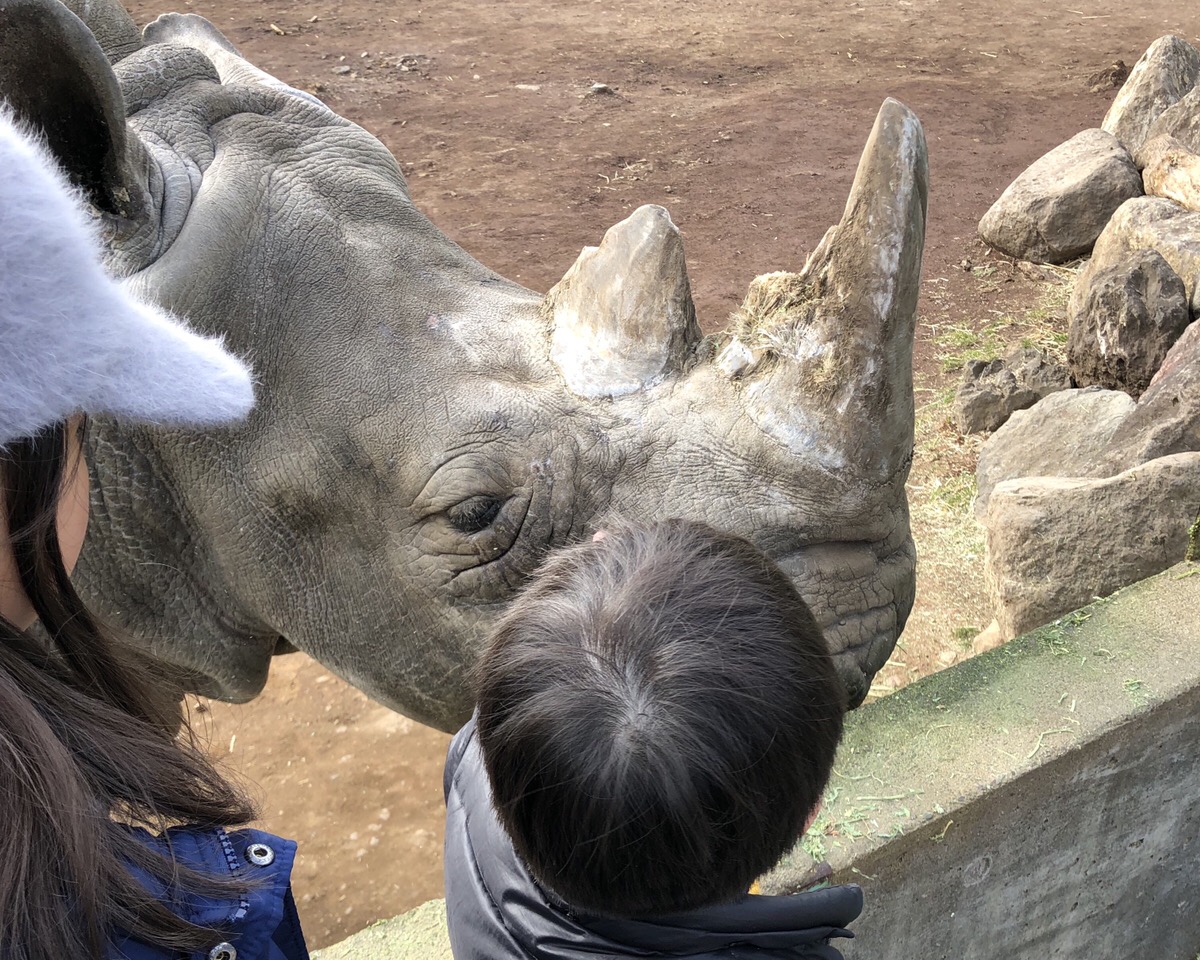 優しいサイさん