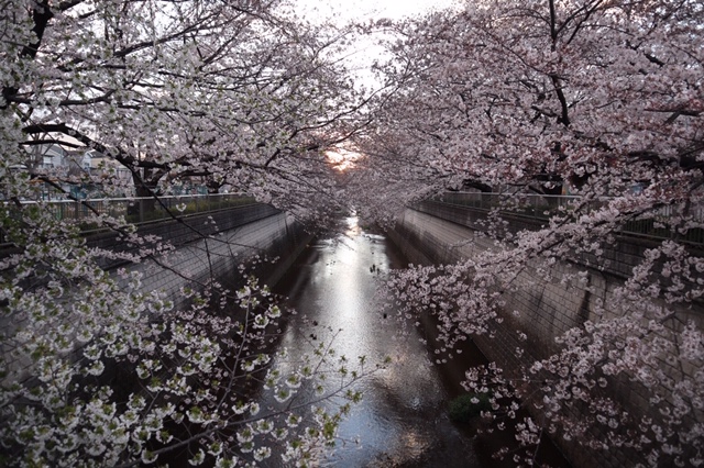 川沿いの絶景