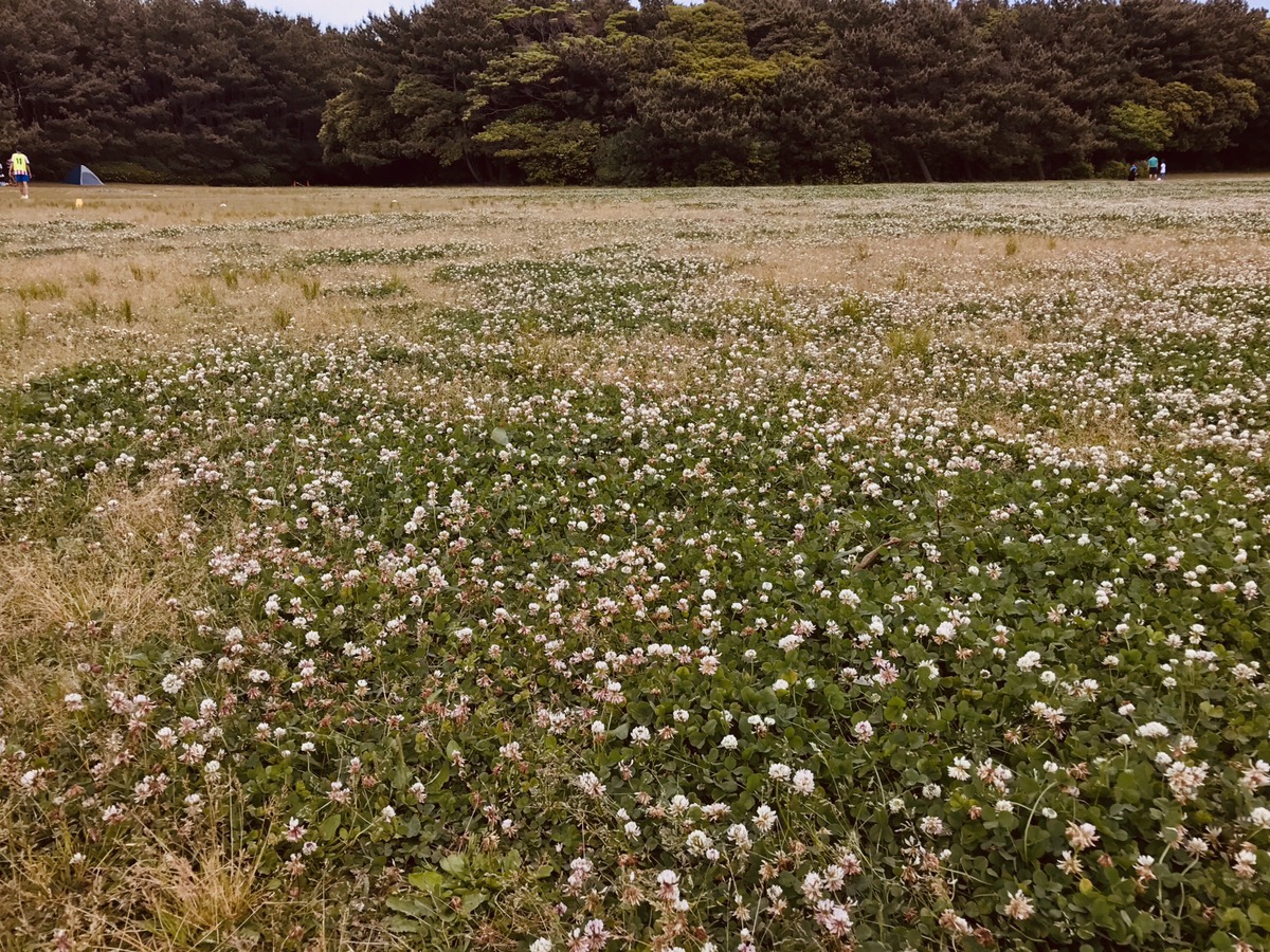 自然公園