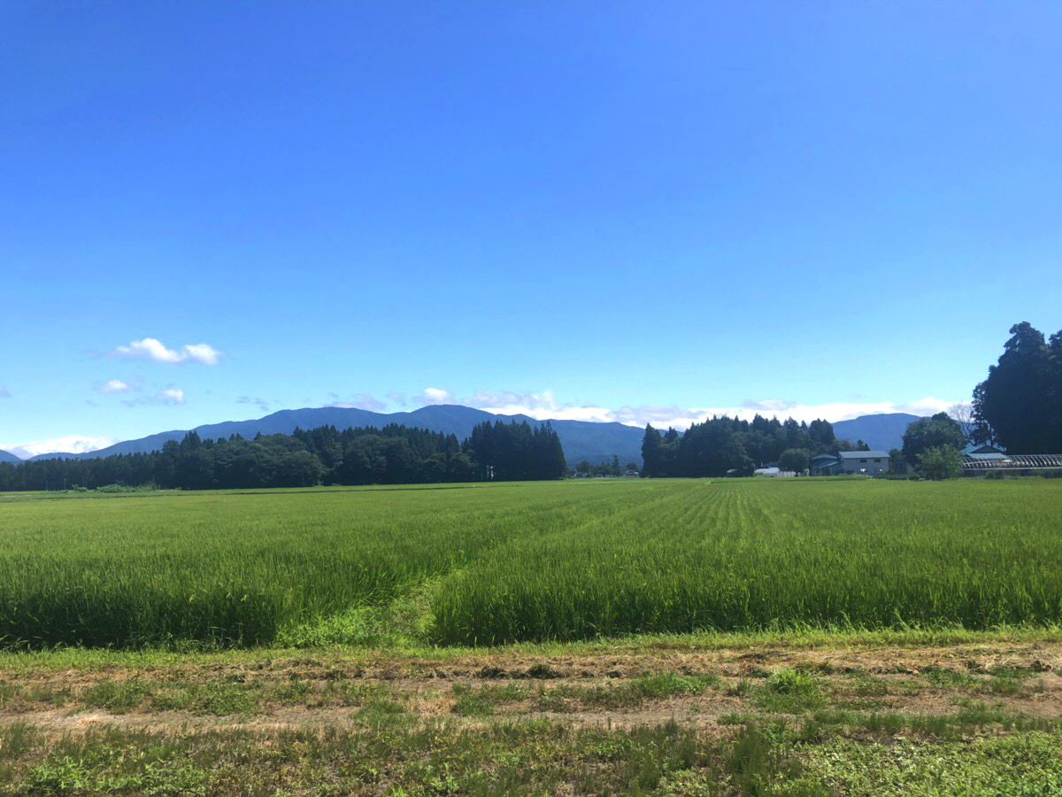 田園風景